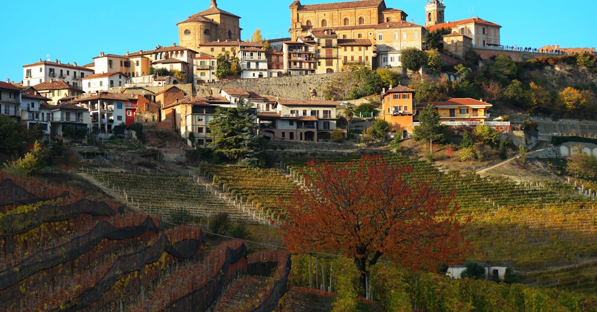 Barolo