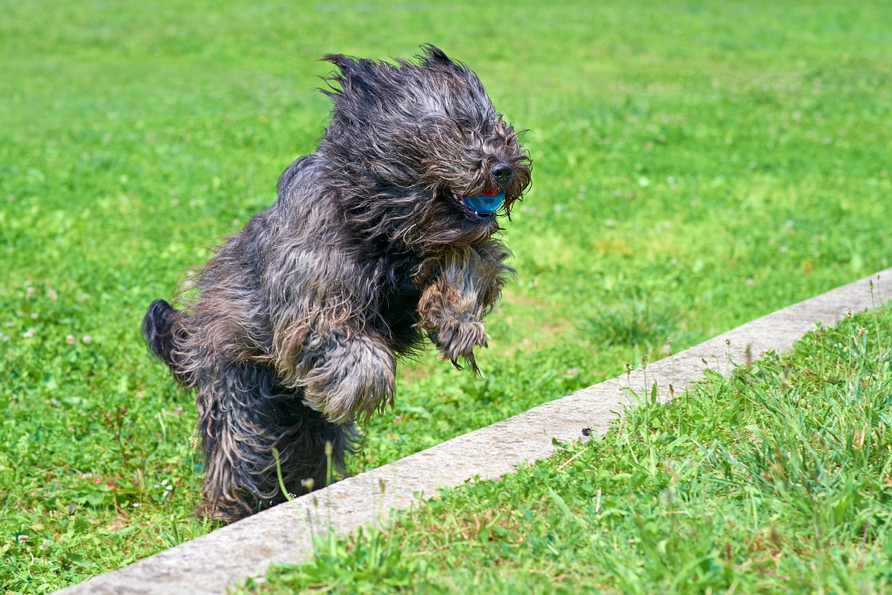 Cisano Bergamasco