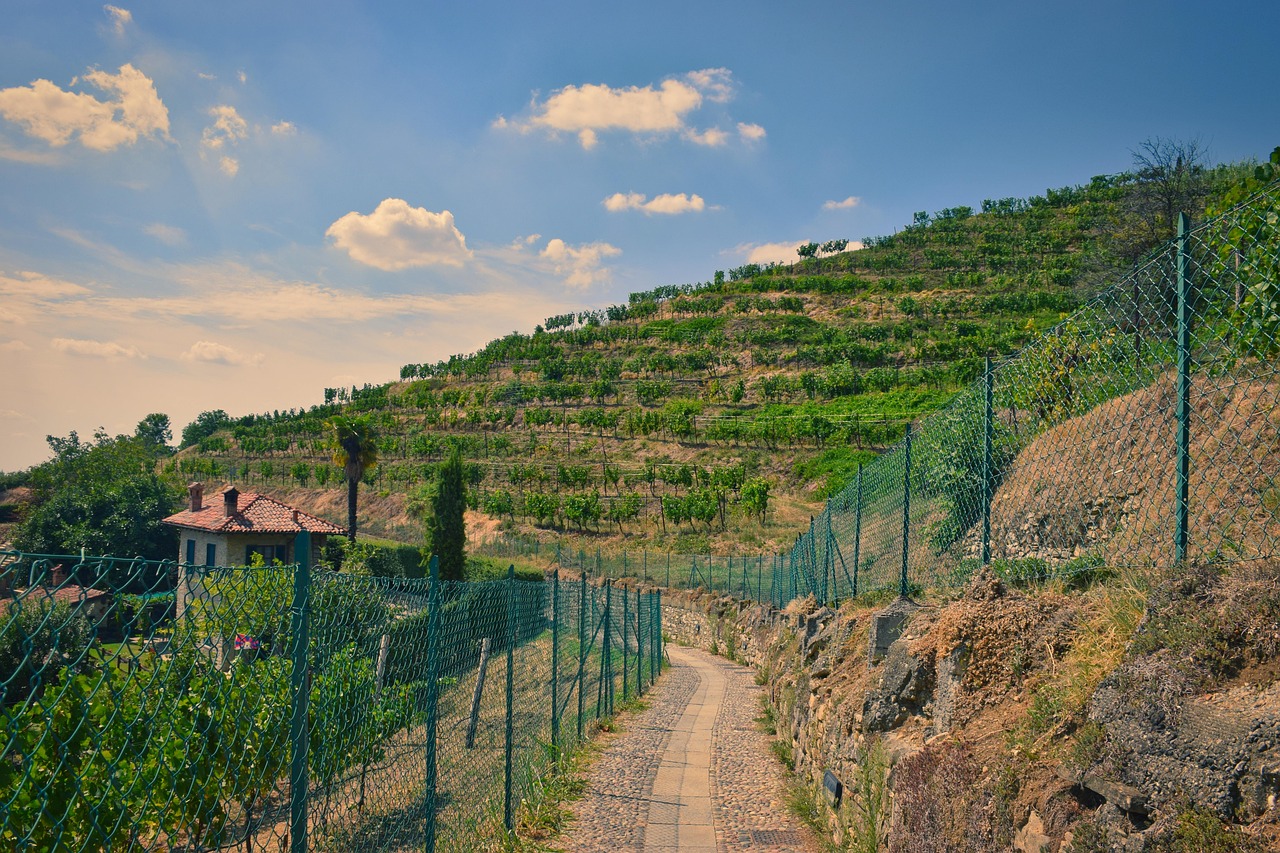 Montevecchia