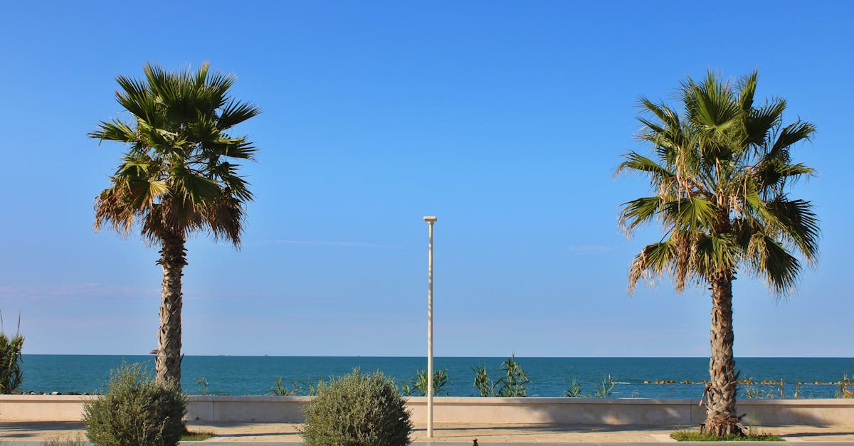 Riccione