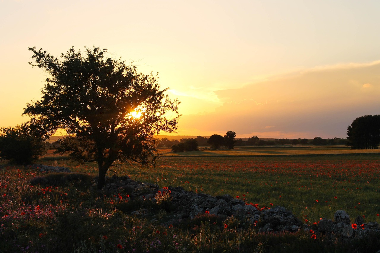 Ruvo di Puglia
