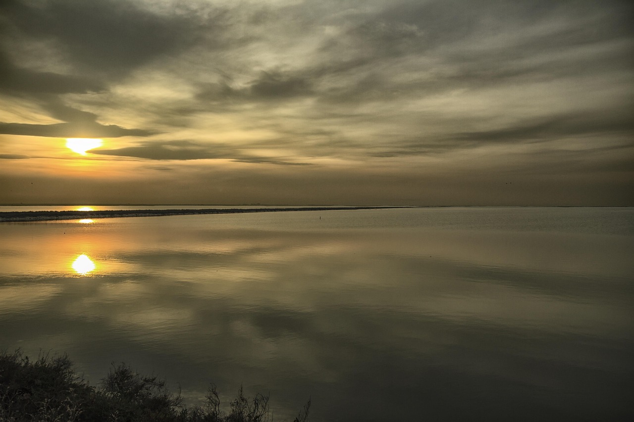 Savoia di Lucania