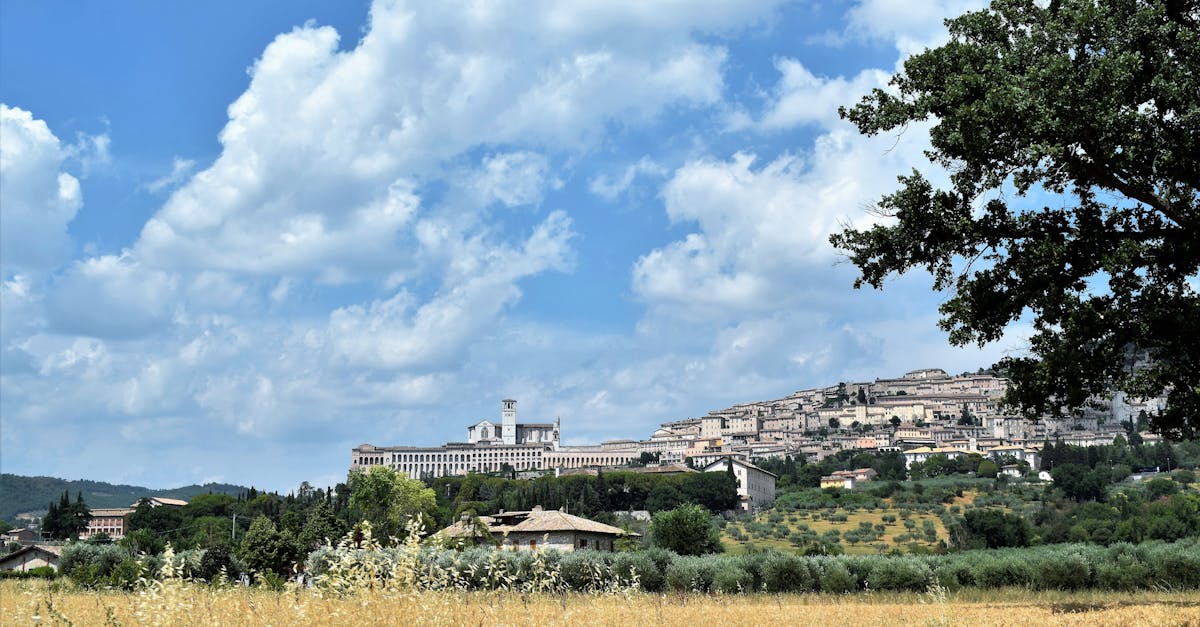 Urbino