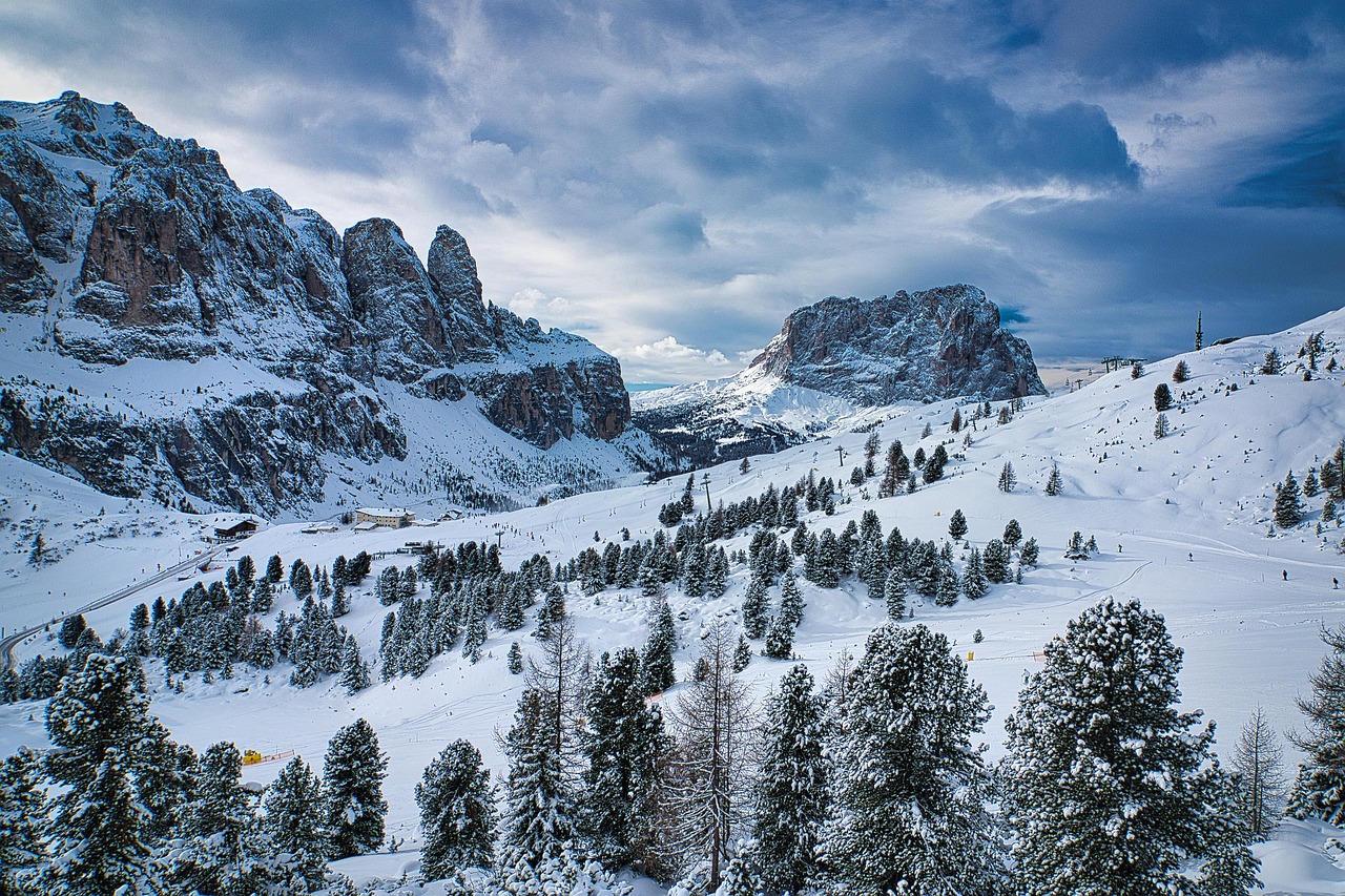 Val Liona