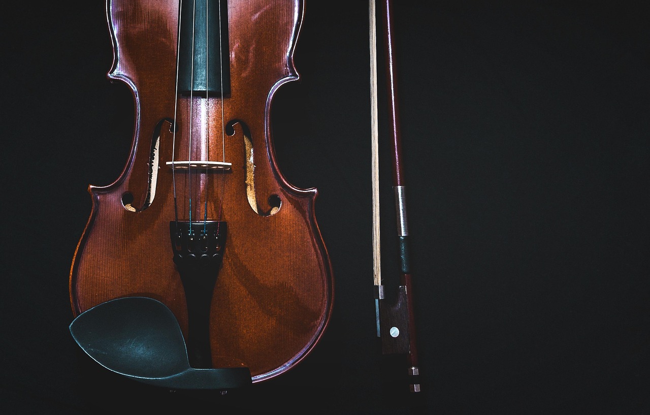Viola